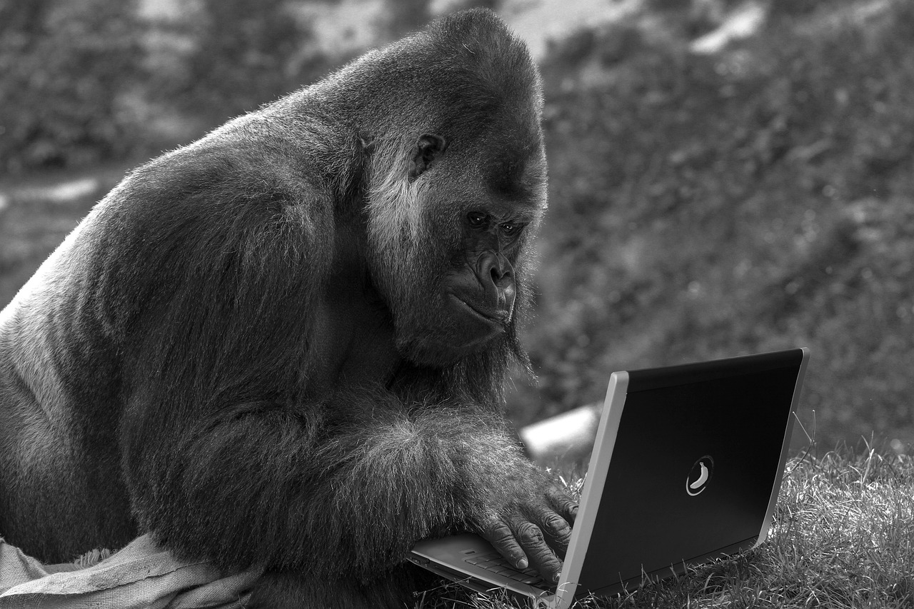 Internet Trolls and Cyberbullies: A Safety Guide
